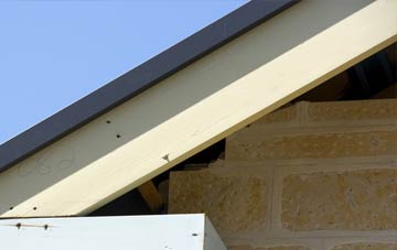 Swainshill fascia repairs