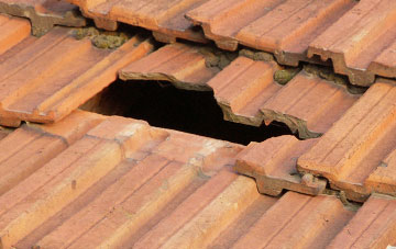 roof repair Swainshill, Herefordshire