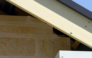 soffit repair Swainshill