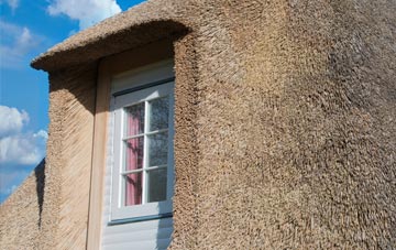 Swainshill thatch roof disadvantages