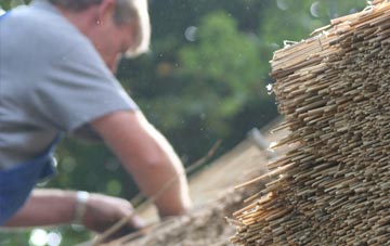 professional Swainshill thatchers